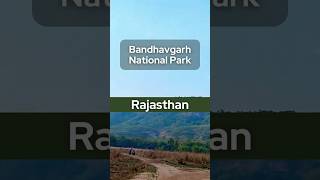 Explore Bandhavgarh National Park  Hotels amp Perfect 4Day Itinerary [upl. by Salvador730]