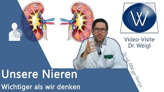 Unsere Nieren Aufbau Aufgaben amp Funktionsweise einfach erklärt  filtern Hormone Vitamin D etc [upl. by Matthew]