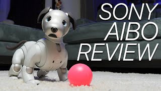 Sony Aibo Review This Robot Dog Is STILL Learning New Tricks [upl. by Bent837]