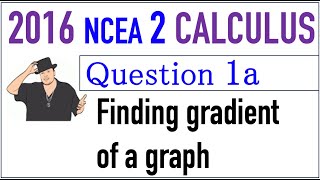 2016 NCEA 2 Calculus Exam Q1a [upl. by Nam]