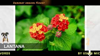 SPOKEN ENGLISH VOCABULARY HINDI BANGLA TELUGU TAMIL URDU KANNADA MALAYALAM SUMMER SEASON FLOWERS [upl. by Eenaej]