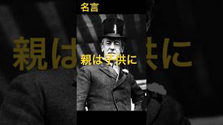 【名言集Vol139】第28代アメリカ合衆国大統領 トーマス・ウッドロウ・ウィルソンThomas Woodrow Wilson 名言 格言 大統領 アメリカ 政治 政府 法律 [upl. by Eceeryt]