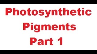 Photosynthetic Pigments Part 1 for MedicalNEETAIPMTAIIMSEntrance Exams [upl. by Ahsened477]