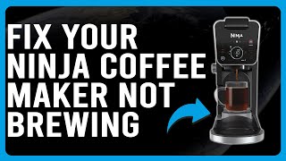 How To Fix Your Ninja Coffee Maker Not Brewing Why Is Your Ninja Coffee Maker Not Brewing [upl. by Greiner761]