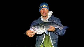 Big autumn bass  lure fishing at night  hunting Welsh silver bars SEA FISHING UK North Wales [upl. by Ecinuahs]