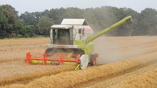 Dreschen 2013 mit Claas und Case [upl. by Drofyar732]