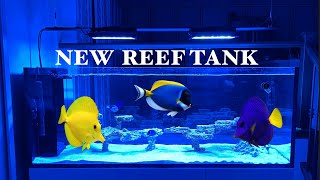 My Waterbox Peninsula Reef Aquarium Setup Ep 1 [upl. by Owen]