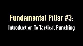 4 Chapter  Pillar 3  Introduction To Tactical Punching [upl. by Htabmas685]