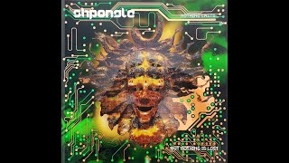 Shpongle  Levitation Nation [upl. by Ailegnave]