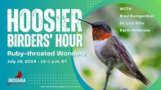 Hoosier Birders Hour  Rubythroated Wonders July 2024 [upl. by Nnylarak]