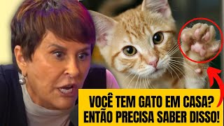 OS GATOS E A ESPIRITUALIDADE com Márcia Sensitiva [upl. by Anelaj]