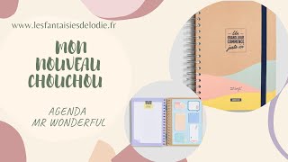 Présentation de lAgenda Mr Wonderful [upl. by Aicemaj]