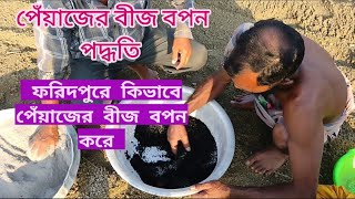 ফরিদপুরের কৃষকরা কিভাবে পেঁয়াজের বীজ বপন করে।পেঁয়াজের বীজ বপন পদ্ধতি। [upl. by Anauqaj378]