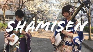 What is a Shamisen 三味線とは？ [upl. by Kopp]