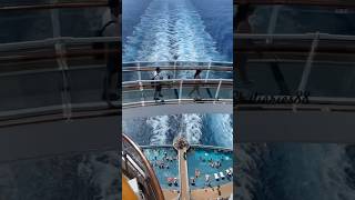 Msc Cruise msccruise mscworldcruise msc shorts short miami trend trending youtubeshort [upl. by Pampuch677]