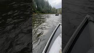 Fishing for salmon on the Sol Duc River out of Forks in the Hoh Rainforest coho hohrainforest [upl. by Nothgiel]