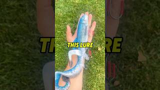 20 INCH FISHING LURE  MONSTER FISH 😱😱😱 fishing shorts outdoors [upl. by Nahttam]