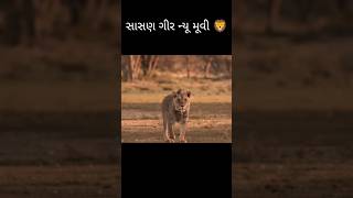 Sasan Girnars new movie movie gujarati gujaratimovie funny comedyfilm gujaraticomedymovie [upl. by Ainavi]