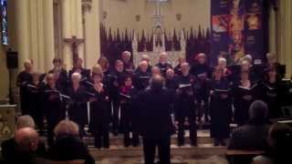 Chorale le Luol Chantant  Va Pensiero [upl. by Radborne]