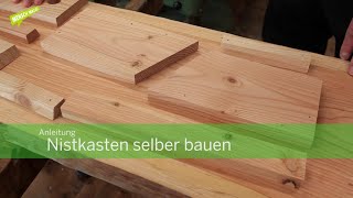 Anleitung Nistkasten selber bauen [upl. by Nitas]