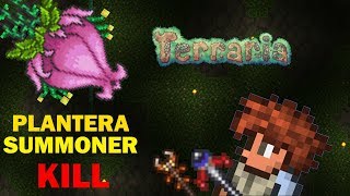 Terraria  Plantera Summoner Kill Pre  Plantera Gear Terraria Boss Battles 1 [upl. by Aryl]