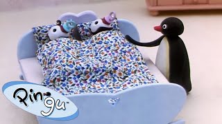 Pingu The Babysitter 🐧  Pingu  Official Channel  Cartoons For Kids [upl. by Normie403]