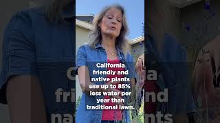 LADWP Customers Reveal DroughtTolerant Garden [upl. by Chubb]