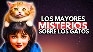 5 secretos de los gatos que debes saber  datos curiosos sobre los gatos [upl. by Elane]