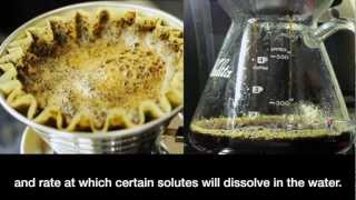 Kalita Wave Coffee Brewing  Intensive [upl. by Vine]