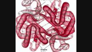 Estructura cuaternaria de las proteinas [upl. by Gnouhk]
