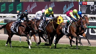 Melbourne Cup 2024 Replay  901 shot Knights Choice wins it in a photo finish under Robbie Dolan [upl. by Latrina]