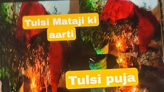 Tulsi mata ji ki aarti viralvideo trending divya [upl. by Yenttihw]