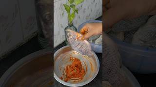 💥 Grill fish🐠🐟 masala😡😋minivlog 155  Dec 9 malaikkalaanchannel shortsfeed fish [upl. by Akihsan448]