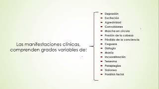 PATOLOGIAS DEL SISTEMA NERVIOSO [upl. by Aseuqram]