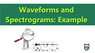 Waveforms and Spectrograms Example [upl. by Ile]