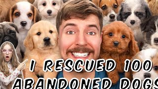 I Rescued 100 Abandoned Dogshindi video 2023 [upl. by Wons861]