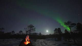 AURORA BOREALIS LIVE from Norway 🇳🇴 [upl. by Angrist351]