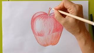 Sketching an apple with pencils juicy and bright  part three [upl. by Gilda]