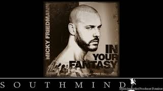 Micky Friedmann  In Your Fantasy Southmind Edit [upl. by Fin237]