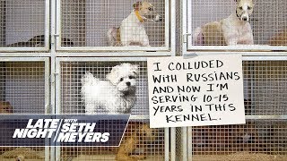 Extreme Dog Shaming Russian Collusion Pooping Twice [upl. by Mullins150]