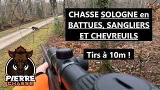 CHASSE SOLOGNE en BATTUES  TIRS DE 4 SANGLIERS et 2 CHEVREUILS à 10m [upl. by Dnomse]