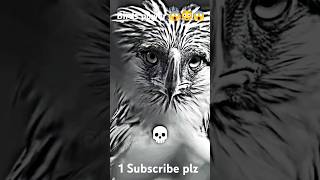 Birds power 😱😳😱 1 subscribe plz trend [upl. by Barnard]