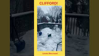 Clifford the Beagles Snow Day Fun with His Favorite Toy [upl. by Jud433]