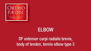 Transverse friction massage tennis elbow type 3 [upl. by Annaed651]