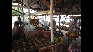 Javaanse Markt in Suriname I Culturucom [upl. by Enalahs]