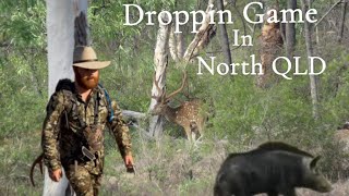 Chital Stag and Pig Hunt Droppin Game In North QLD [upl. by Piselli352]