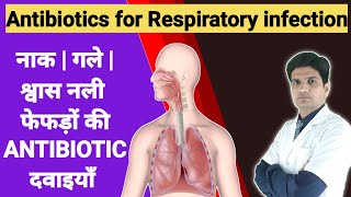 फेफड़ों गले सांस नली की best antibiotic  Antibiotics for Respiratory infection [upl. by Nikoletta]