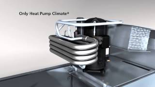 Winterhalter Conveyor dishwasher  Heat Pump [upl. by Sasnak]