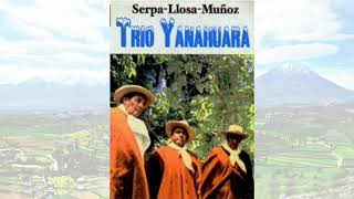 TRÍO YANAHUARA  Música Arequipeña [upl. by Yemaj]