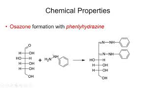 Carbohydrates Physical and Chemical Properties  Lecture 6b [upl. by Einhapets847]